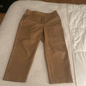 Aritizia Vegan leather pants
